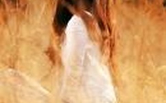 公交车掀开奶罩边躁狠狠躁漫画